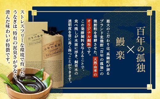 極上鰻！うまい！＜宮崎県産 うなぎ蒲焼 4～5尾 計500g以上＞【c1451_mn】