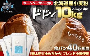 北海道産 「春よ恋」「ゆめちから」ブレンド小麦粉 パウダースノー（パン用強力粉）10kg MROBI012