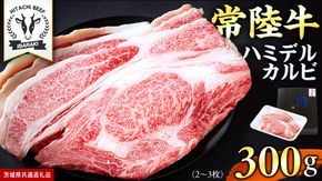 【 常陸牛 】A5 等級 ハミデルカルビ 300g (2～3枚) ひたちぎゅう ブランド牛 カルビ 国産牛 黒毛和牛 和牛 国産黒毛和牛 お肉 A5ランク 高級 BBQ パーティ (茨城県共通返礼品) [BX126-NT]