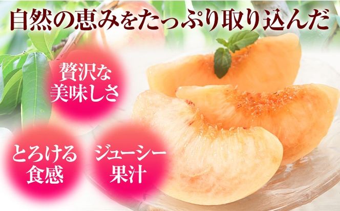 桃 もも【2025年先行予約】和歌山県産 紀の里の桃 約1kg (3-5玉入り)《6月中旬-8月中旬頃出荷》 桃 2025年 先行 桃 先行予約2025 もも2025 白鳳 日川白鳳 八旗白鳳 清水白桃 川中島白桃 つきあかり もも 白鳳 先行予約 もも川中島 もも2025 もも 白鳳 先行予約 もも 先行予約 もも 和歌山 もも---wfn_cwlocal70_6c8c_25_8000_1kg---