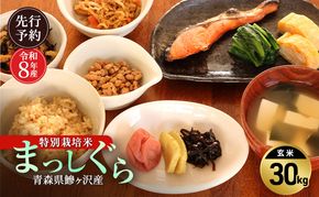 先行予約 令和8年産 特別栽培米 まっしぐら 玄米 30kg [H.GREENWORK] 青森県 鰺ヶ沢産 / お米 こめ おこめ ごはん 農薬5割減 安心 安全 大容量 備蓄 健康 津軽