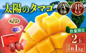 【2027年発送】【数量限定】宮崎県産 太陽のタマゴ A等級 4Lサイズ×2玉（合計約1kg）_kn056-011