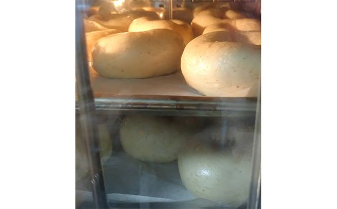 噛み応えと発酵に拘った当店定番　プレーンベーグル12個 パン 朝食 冷凍可 