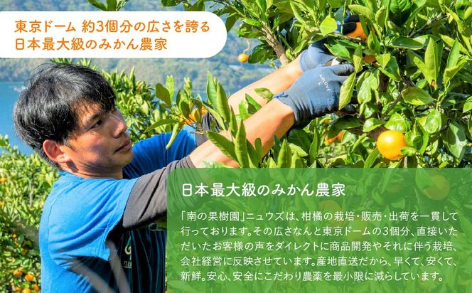 【先行予約】温州みかん（生果）5kg（2026年11月上旬より順次発送） IKTF013