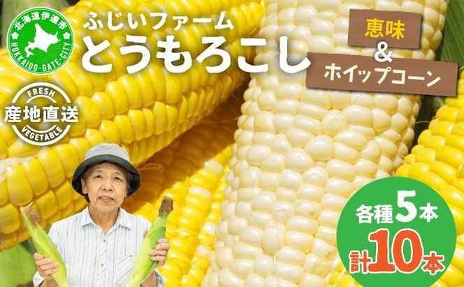  ＜先行予約＞北海道産 とうもろこし(恵味/ホイップコーン) 計10本【55250517】トウモロコシ とうきび イエロー ホワイト コーン スイートコーン 旬 野菜 ふじいファーム 北海道 伊達市