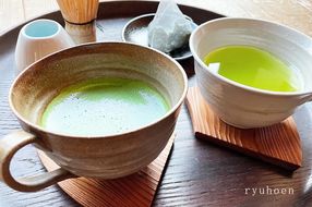 ティーカップで味比べ「抹茶と緑茶ティーバッグ」日本茶鑑定士監修【全2回】〈定期便 お茶 緑茶 煎茶 宇治抹茶 抹茶 ティーバッグ 玉露 かぶせ茶 ティーカップ ティーパック 初心者 飲料 加工食品〉 