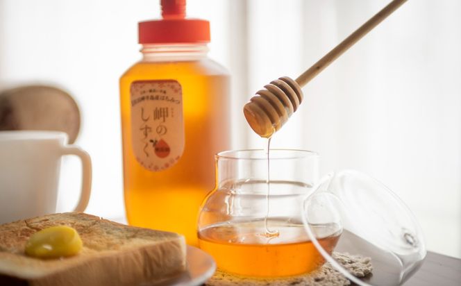 【もち蜂蜜】みかん農園のはちみつ 1kg×3本入 ※離島への配送不可 IKTC013