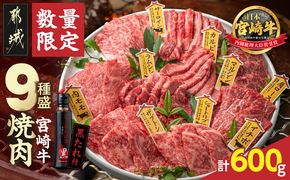 【数量限定】宮崎牛9種盛り焼肉セット_22-31-006-600g