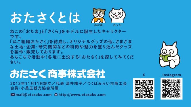 【 おたさく 】 おたのしみ袋ミニ 3～5点 おたさく ねこグッズ 福袋 雑貨 かわいい 猫 ねこ ネコ 猫グッズ ネコ好き にゃんこ おまかせ お楽しみ [AE36-NT]