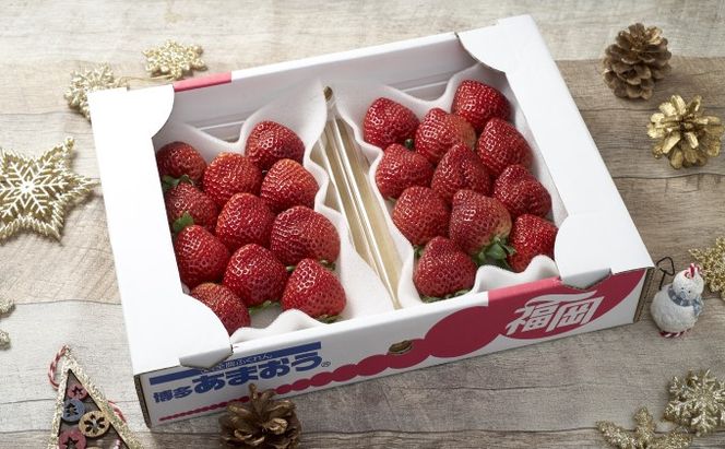 いちご あまおう 6パック 1Pあたり約250g以上 福岡のいちご 苺 本来の酸味と甘み 冬 配送不可 離島 果物類 イチゴ 