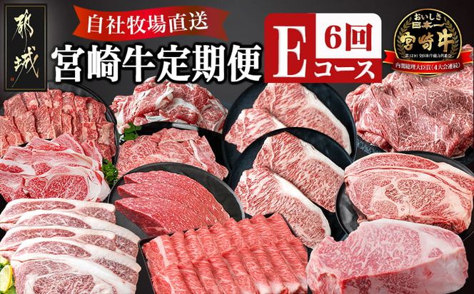 宮崎牛定期便(6回お届け) Eコース_N25-005-T6 宮崎牛 ウデ モモ バラ カルビ リブロース 肩ロース サーロイン スライス 切り落とし ブロック 焼肉 ステーキ