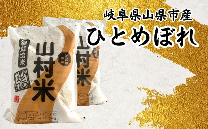 山県市産 ひとめぼれ 10kg（5kg×2袋）（白米） [No.802]