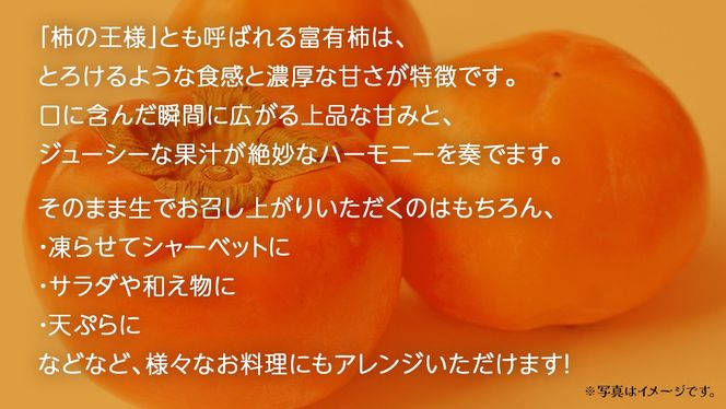 富有柿 約6kg 【2025年10月上旬発送開始】(茨城県共通返礼品：大子町) 柿 カキ かき 果物 フルーツ 旬 季節限定 期間限定