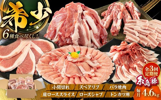 【全3回定期便】合計4.6kg！糸島豚食べ尽くしセット(とんかつ、肩ロース、しゃぶしゃぶ、豚バラ、スペアリブ、小間切れ) 糸島市 / トラヤミートセンター 豚肉 セット[AJD023]