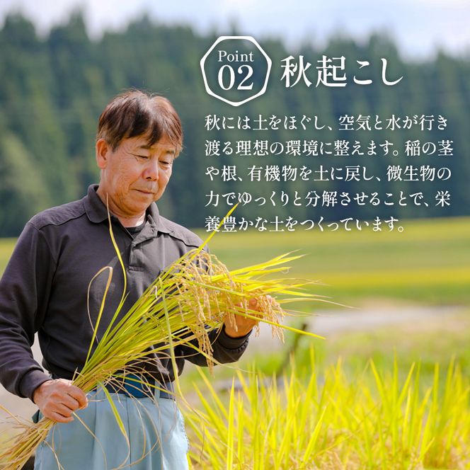 【通年受付】令和7年産魚沼産特別栽培米コシヒカリ［清津の恵］精米5kg　全6回 十日町市 十日町 米