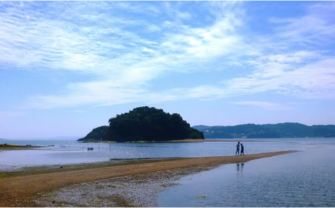 岡山県瀬戸内市　日本旅行　地域限定旅行クーポン30,000円分 [№5735-1103]