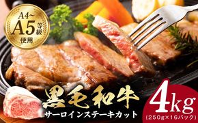 G3644-1 A5/A4ランク 黒毛和牛 サーロインステーキカット 合計4kg（250g×16P）【極味付け肉】