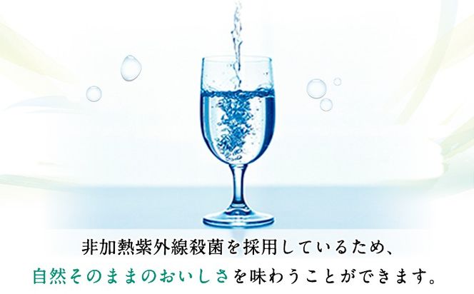 【定期便3ヶ月】日本名水百選ミネラルウォーター「南阿蘇・白川水源」定期便3ヶ月 2L×6本入2ケース《申込み翌月から発送》熊本県 南阿蘇村 物産館自然庵 水 ミネラルウォーター---sms_szmwtei_24_35500_24p_mo3---