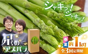 【3回定期便】【星のアスパラ】春・夏 の グリーン アスパラガス 約1kg / アスパラ 野菜 / 南島原市 / ほしのYA[SEY016]