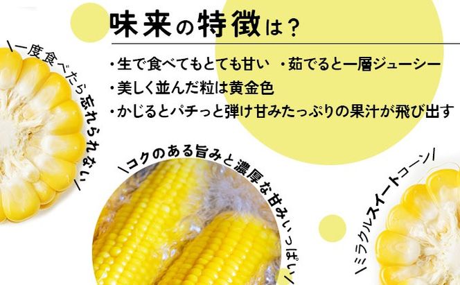 ＜先行予約＞【2026年発送】北海道産 とうもろこし 味来 L～LLサイズ 20本入り【55250823】トウモロコシ みらい ミライ とうきび スイート イエロー コーン 旬 新鮮 朝もぎ 農作物 甘い お取り寄せ 産地直送 送料無料