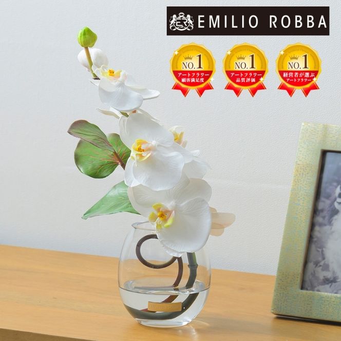 アートフラワー エミリオ・ロバ ファレノプシスS-a TTNTS52100