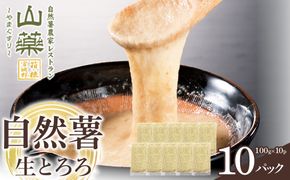 自然薯の味をお楽しみください。自然薯生とろろ100ｇ×10ｐセット【とろろ 極上とろろ 山芋 お家用 家庭用 国産 セット商品 自然薯 神奈川県 小田原市 】 142069_DV010