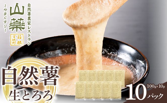 自然薯の味をお楽しみください。自然薯生とろろ100ｇ×10ｐセット【とろろ 極上とろろ 山芋 お家用 家庭用 国産 セット商品 自然薯 神奈川県 小田原市 】 142069_DV010