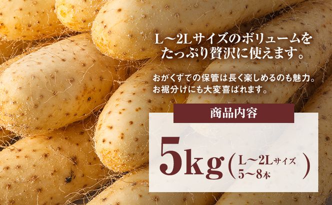 2026年12月発送 先行予約 十勝「忠類長いも」5kg (5～8本) L～2L［JA忠類］【 長芋 ながいも 山芋 芋 とろろ 野菜 根菜 産地直送 贈答 ギフト北海道 幕別 】