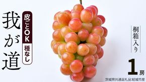 【 桐箱入り 】我が道 （ ぶどう ） 1房 【2026年9月から発送開始】（茨城県共通返礼品 [ぶどう]：結城市産） ぶどう 我が道 果物 フルーツ 季節 旬 [BI394-NT]