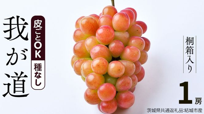【 桐箱入り 】我が道 （ ぶどう ） 1房 【2026年9月から発送開始】（茨城県共通返礼品 [ぶどう]：結城市産） ぶどう 我が道 果物 フルーツ 季節 旬 [BI394-NT]