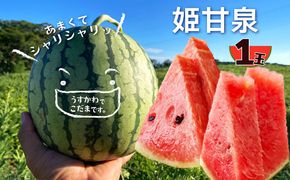 【先行予約】京丹後・俵野産 小玉スイカ 姫甘泉 1玉（2026年7月中旬～発送） 西瓜 すいか 姫甘泉 果物 フルーツ 小玉 野菜 ふるさと納税 先行予約 果物 ふるさと 納税 先行予約 ふるさと納税 フルーツ　 IU00002