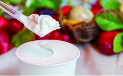 ドルチェかがみ お楽しみジェラート＆シャーベットセット 12個入り dc-0063