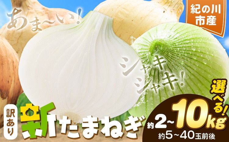 訳あり たまねぎ 新たまねぎ 新 玉ねぎ 紀の川市産 選べる内容量 約2kg 約5kg 約10kg お試し 大容量 不選別[5月下旬-7月中旬頃出荷]和歌山県 紀の川市 送料無料 野菜 玉葱 新玉ねぎ 新たま 旬 お取り寄せ 訳あり野菜---wfn_wlocal46_5g7c_24_4000_2kg---