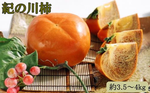 【希少】紀の川柿(種無し)約3.5～4kg・秀品｜柿 カキ フルーツ 果物 和歌山 先行予約 かき たねなし 国産 産地直送 美浜町