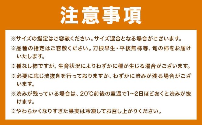 家庭用 種なし柿 選べる 約1kg 約2.5kg 約5kg 約7.5kg 約10kg 訳あり 池田鹿蔵農園《10月上旬-12月上旬頃出荷》和歌山県 日高町 刀根早生柿 平核無柿 ひらたねなしかき カキ 種なし柿---wsh_idn371_10j12j_26_7000_1kg---