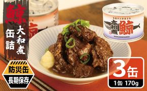 005A756 鯨大和煮缶詰 3缶セット【くじら クジラ 鯨肉 赤身 おかず おつまみ 防災 備蓄 非常食 防災缶 長期保存】