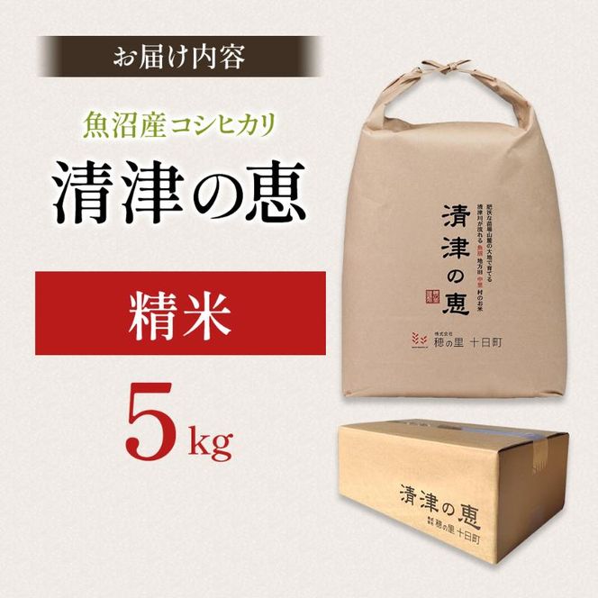 令和7年産魚沼産産特別栽培米コシヒカリ［清津の恵］精米5kg