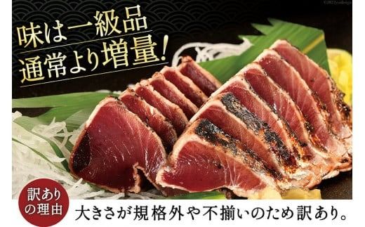 y{錧Csz 󂠂 C`g  ^^L 2.4kg [X {錧 Cs 20564730]   CN   ^pbN  JcI   Ⓚ KiO s A 킯 CF03