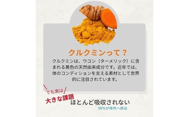 高吸収型クルクミン　クルクルージュ62粒入り2本
