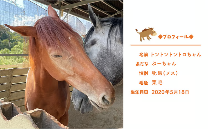 馬 たてがみ 手作り ストラップ 1個 トントントントロ＆グラマー オリジナル キーホルダー[№5735-1877]
