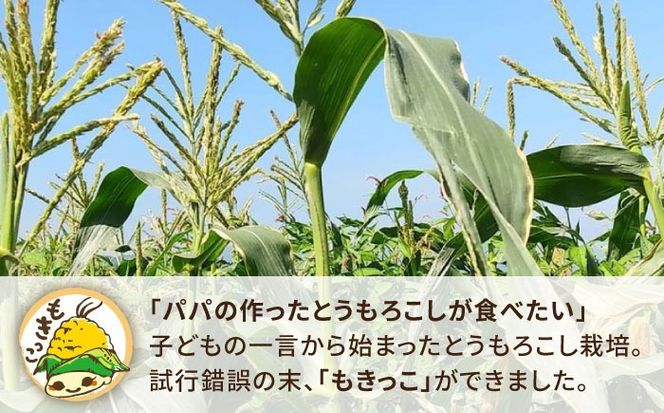 【先行予約】糸島 トウモロコシ 『もきっこ』 黄 （10本前後 ）【2025年6月下旬以降順次発送】 《糸島》 【内田農業】 [AZH001]