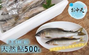 ★お中元★　フレッシュマートキシモトさんの天然鮎（冷凍）500g