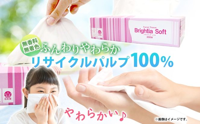 定期便 3ヵ月毎 全4回 ブライティア ソフト ボックス ティッシュ 200組 400枚 15箱 (5箱×3) BOX  ジョイマインドトイレットペーパー ロングロール シングル 72ロール (12ロール×6個パック) 長さ110m 日本製 北海道 倶知安町 日用品