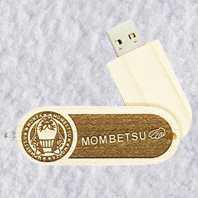 12-242 紋太USBメモリー16GB