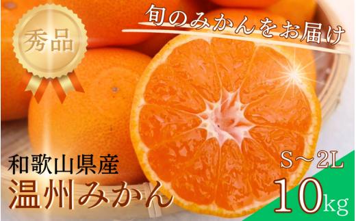 【S~2Lサイズおまかせ】秀品 季節のみかん(極早生・早生・中生・晩稲) 10kg 【2024年10月中旬～2025年2月下旬までに順次発送】＜味好農園＞/みかん 蜜柑 柑橘 フルーツ 果物 極早生 早生 中生 晩稲 【agy004】