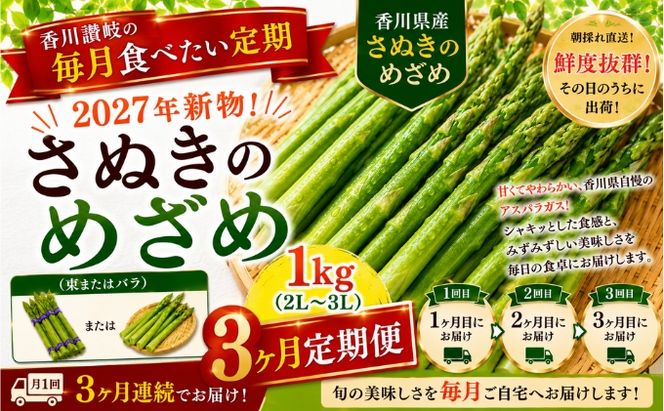 香川讃岐の毎月食べたい定期「2027年新物！さぬきのめざめ 1kg（2L～３L）」3ヶ月定期便