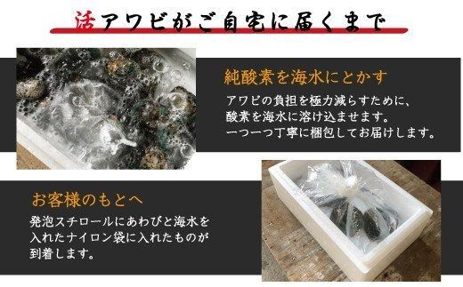 極上！やわコリ食感紀州の蝦夷アワビ【19～20個入】 / ※北海道・沖縄・離島への配送不可 / 鮑 アワビ あわび 人気 活アワビ 冷蔵 【riz120】