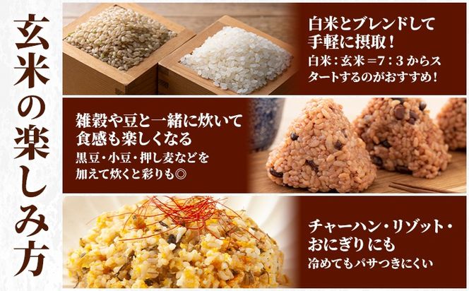 玄米 5kg 10kg さこんたろう《90日以内に発送予定(土日祝除く)》熊本県 御船町 コメ おこめ ごはん 熊本県産---mifune_skt_2_5kg---