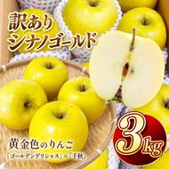 りんご シナノゴールド 令和8年11月上旬順次発送 信州のシナノゴールド 訳あり 約3キロ！ 信濃三兄弟の一つ（りんご・リンゴ・林檎） 伊那市 長野県 信州【010-e3】