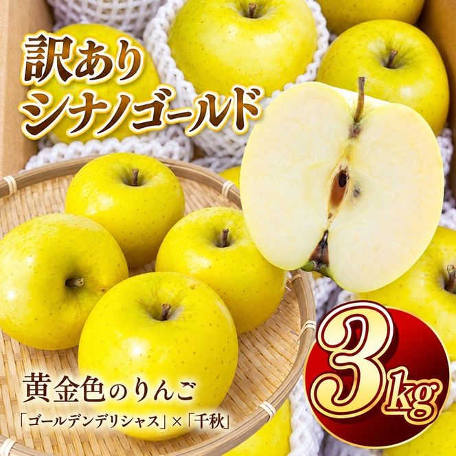 りんご シナノゴールド 令和8年11月上旬順次発送 信州のシナノゴールド 訳あり 約3キロ！ 信濃三兄弟の一つ（りんご・リンゴ・林檎） 伊那市 長野県 信州【010-e3】